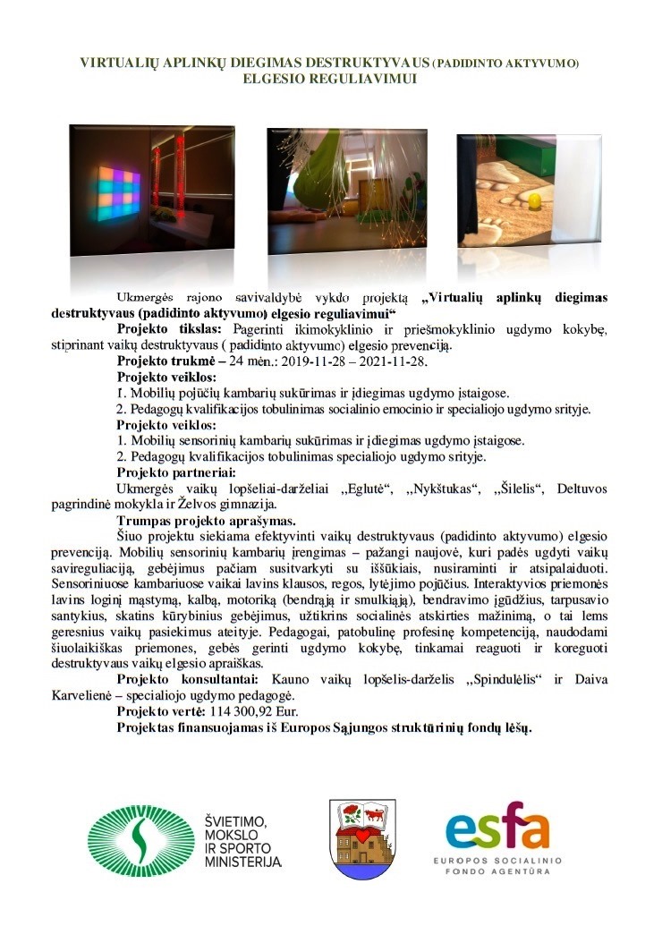 virtualių aplinkų.jpg